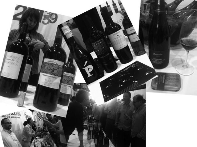 buscastellvins2013